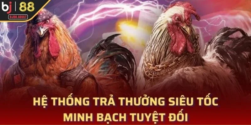 Chính sách khuyến mãi