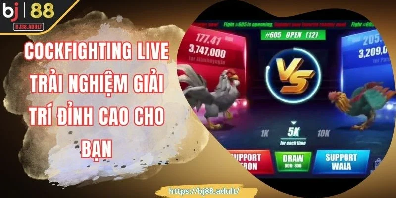 Cockfighting Live