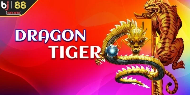 Dragon & Tiger sự kết hợp giữa truyền thống và hiện đại