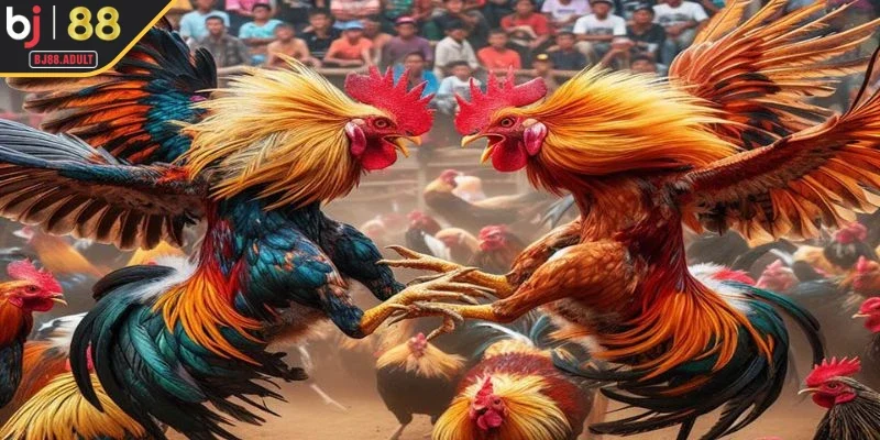 Lý do bạn nên chọn