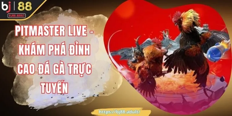 Pitmaster Live