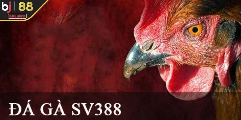 Sơ lược về SV388