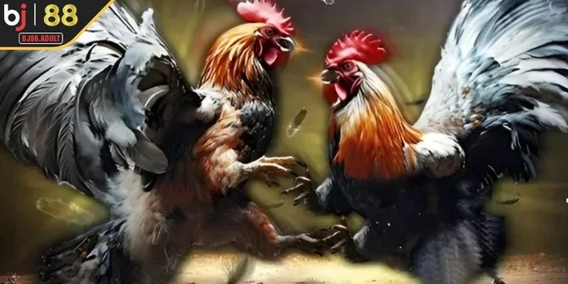 Thiết kế thân thiện cho trải nghiệm dễ dàng hơn