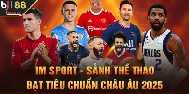 Tổng quan về IM Sport