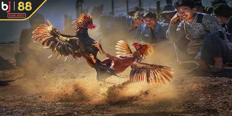 Tổng quan về S128